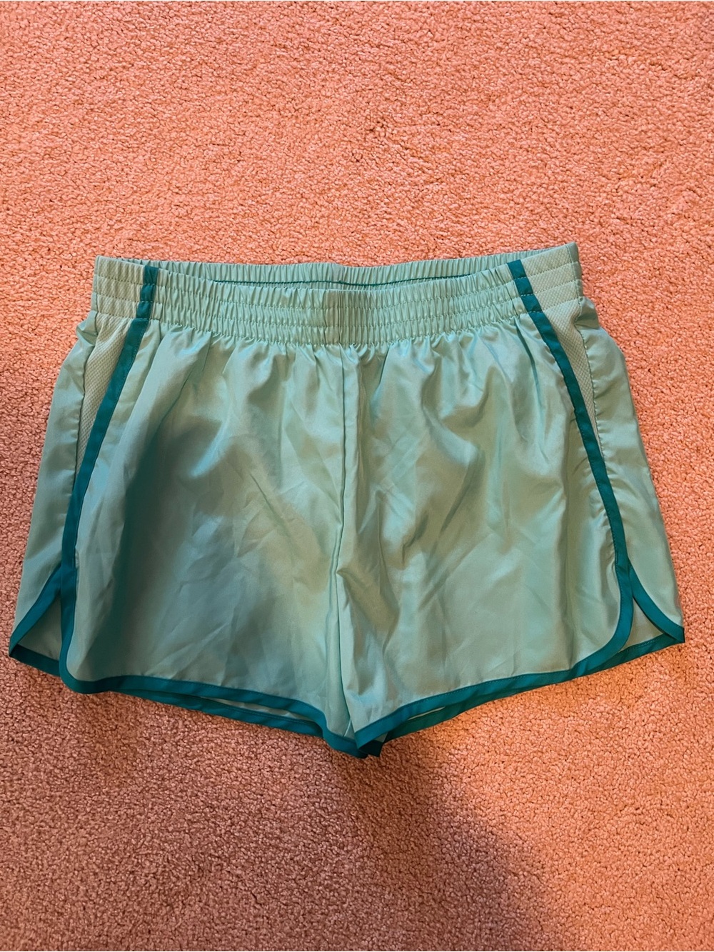 Champion Aqua Shorts with Teal Trim